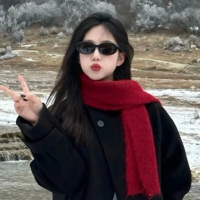 安妮·法兰克的最后七个月